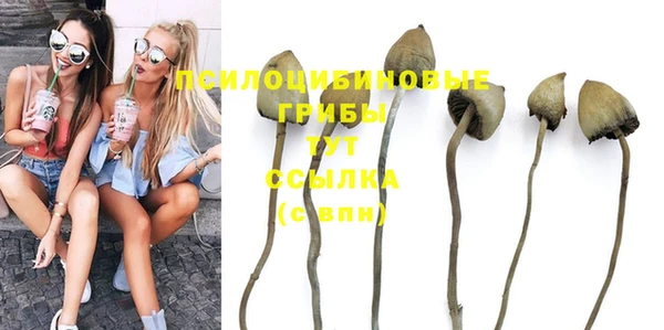 Альфа ПВП Богданович