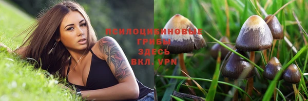 мет Богородицк