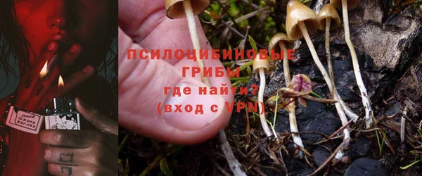 индика Белокуриха