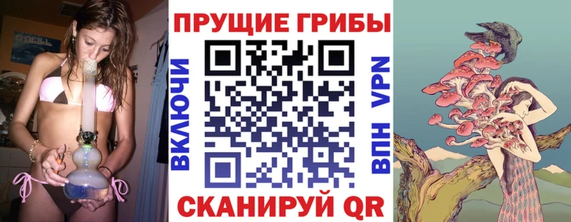 Галлюциногенные грибы мухоморы  Купить где  Советский 