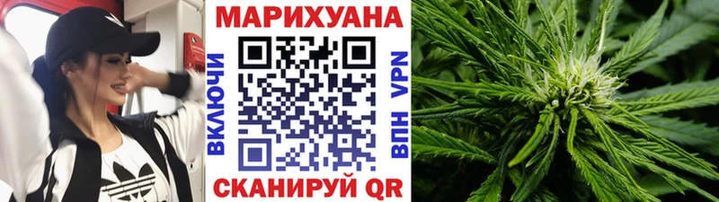 Каннабис планчик  Купить где  Советский 